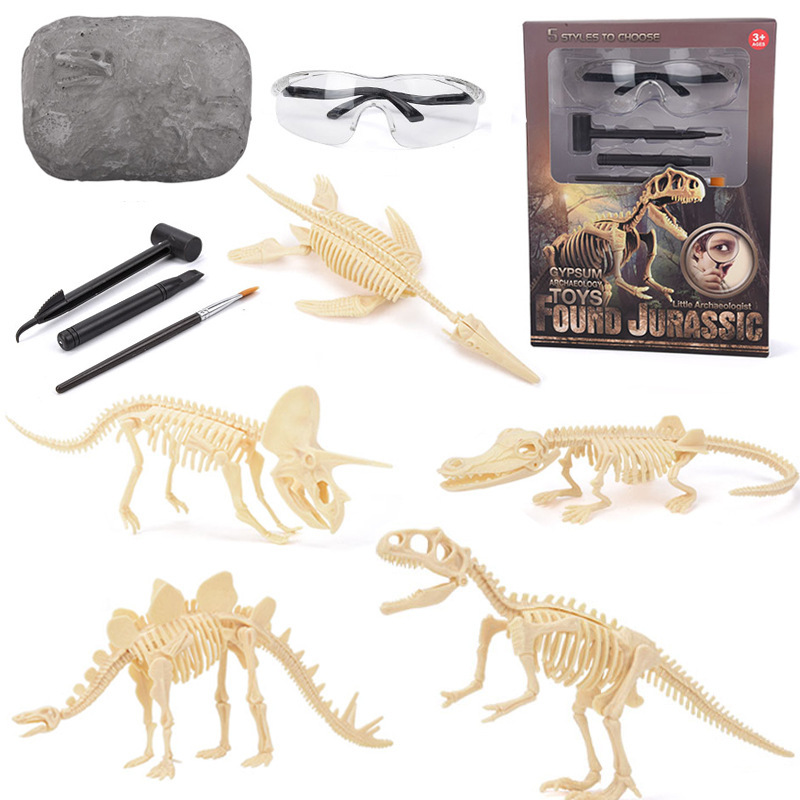 Набор для раскопок окаменелост – обзор и цена Model Kit For Girls