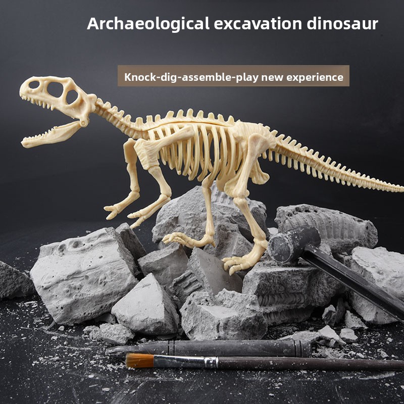 Набор для раскопок окаменелост – обзор и цена Model Kit For Girls