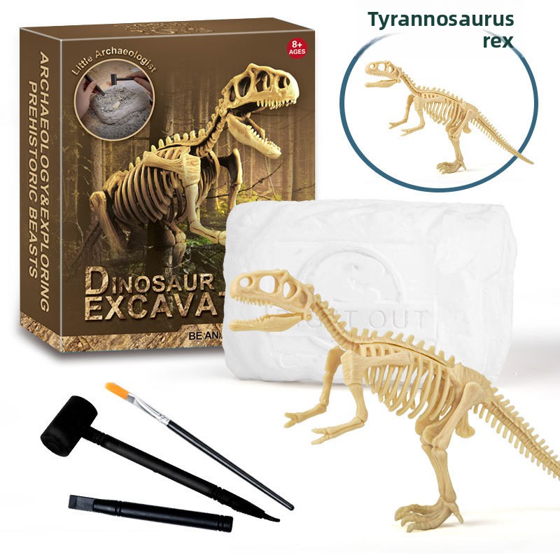 Набор для раскопок окаменелост – обзор и цена Model Kit For Girls